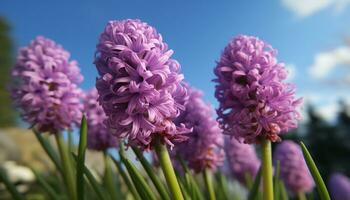 une vibrant bouquet de multi coloré fleurs apporte Naturel beauté en plein air généré par ai photo