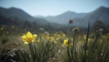 magnifique Jaune Marguerite fleurs dans une Frais vert Prairie généré par ai photo