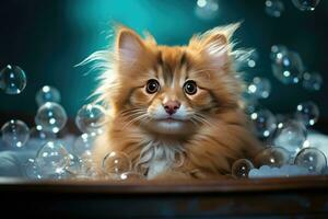 mignonne gingembre chaton avec bleu yeux dans une une baignoire avec savon bulles photo