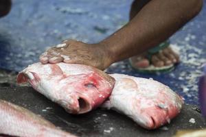 les fruits de mer assortis vendus au marché aux poissons photo