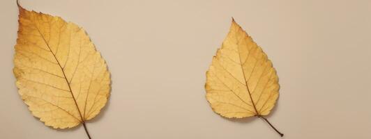 une Célibataire Jaune feuille sur une marron Contexte. ai généré photo