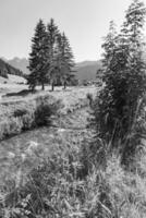 randonnée près gosau dans L'Autriche photo