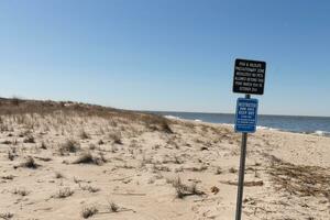 signalisation publié sur le plage. cette bleu métal signe ici à garder gens de le dunes et protéger le faune. le vert le sable dunes tout autour dans le marron sable. le océan vu dans le distance. photo