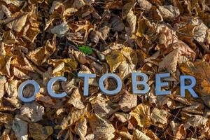 mot octobre posé avec argent métal des lettres sur déchue feuilles sur l'automne forêt sol photo