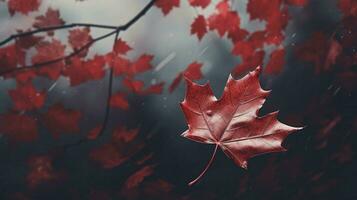 érable feuille agitant sur canadien drapeau branche photo