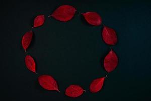 notion d'automne. belles feuilles rouges sur fond noir. photo