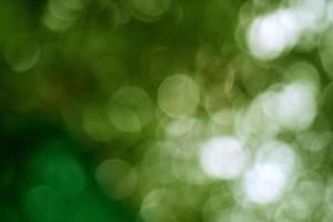 flou abstrait avec bokhe de lumière à travers les arbres verts photo