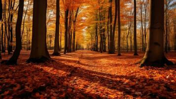 un l'automne Contexte avec une dense forêt, arbre branches avec vibrant rouge et Orange feuilles. génératif ai photo