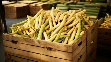 fraîchement choisi canne à sucre fruit de jardin mis dans le des boites. génératif ai photo