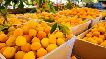 fraîchement choisi rukem fruit de jardin mis dans le des boites. génératif ai photo