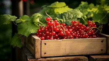 fraîchement choisi rouge groseille fruit de jardin mis dans le des boites. génératif ai photo