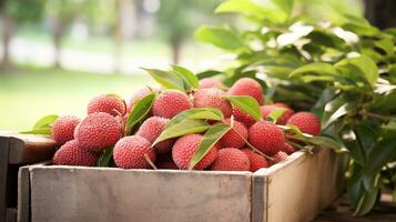 fraîchement choisi litchi fruit de jardin mis dans le des boites. génératif ai photo