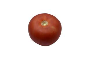 rouge tomate sur une blanc Contexte. juteux tomate fruit. photo