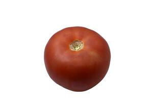 rouge tomate sur une blanc Contexte. juteux tomate fruit. photo