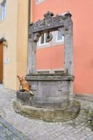 une chien séance sur une pierre Fontaine dans une ville photo