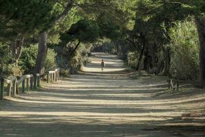 Piste chemin de Porquerolles île France panorama paysage photo