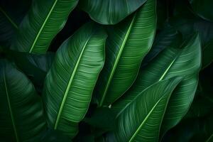 abstrait tropical feuilles texture, la nature arrière-plan, tropical feuille. ai généré photo