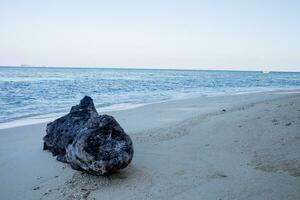 panorama de une magnifique blanc le sable plage photo