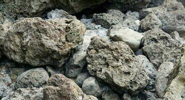 Roche fragments de volcan, corail rochers sur plage photo