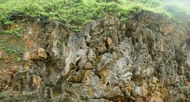 panoramique vues de le plage, corail montagnes photo