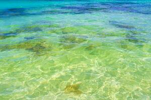 vagues à la plage tropicale mer des caraïbes eau turquoise claire mexique. photo