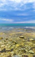 pierres roches coraux turquoise vert bleu eau sur la plage mexique. photo