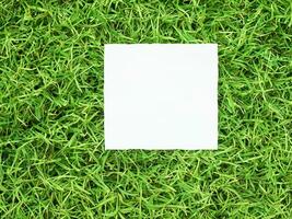 blanc Vide affiche sur vert herbe Contexte. photo