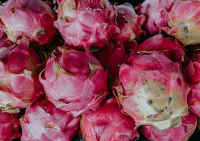 tropical fruit Contexte. fermer de dragon fruit. photo