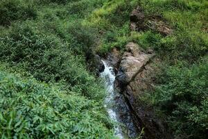 fraîcheur paysage pour l'eau tomber et courant écoulement par rochers dans tropical pluie forêt et verdure sauvage jungle. photo