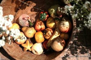 Plastique des fruits dans tissé panier décoration dans jardin photo
