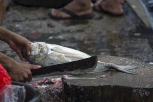 les fruits de mer assortis vendus au marché aux poissons