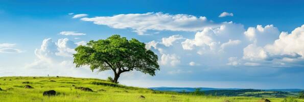 paysage vue de un gros arbre sur le Haut de le colline avec vert herbe sur une flanc de coteau avec bleu ciel et des nuages dans le Contexte. génératif ai photo