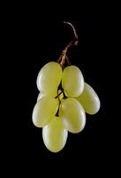 une petit bouquet de mûr vert les raisins isolé sur une noir Contexte. photo