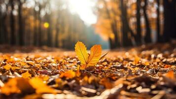 l'automne feuilles sur le sol dans le forêt. l'automne Contexte. ai généré. photo