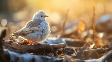 blanc oiseau sur le sol dans le hiver forêt. faune scène de la nature. ai généré. photo