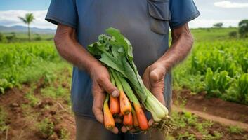 agriculteur en portant carottes et céleri dans le sien mains dans le champ. ai généré. photo