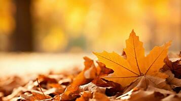 l'automne feuilles sur le sol dans le parc. ai généré. photo