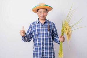 asiatique agriculteur dans une rayé chemise en portant une faucille et récolte riz céréales sur une blanc Contexte. photo