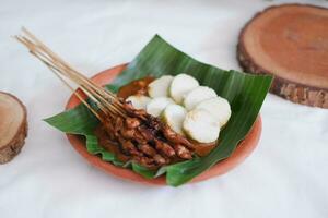 poulet satay sur une blanc assiette avec cacahuète sauce photo