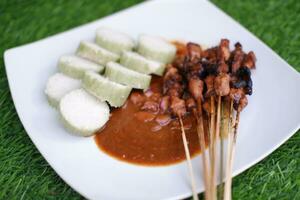 poulet satay sur une blanc assiette avec cacahuète sauce photo