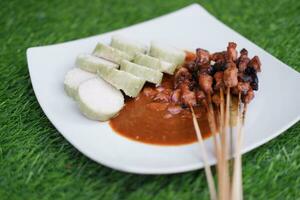 poulet satay sur une blanc assiette avec cacahuète sauce photo