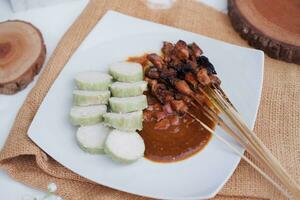 poulet satay sur une blanc assiette avec cacahuète sauce photo