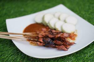 poulet satay sur une blanc assiette avec cacahuète sauce photo