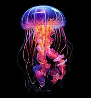 embrasé méduse nager Profond dans bleu mer, néon méduse fantaisie sur noir arrière-plan, ai génératif photo