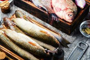 variété de brut Frais poisson photo