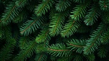 une luxuriant, fermer vue de vibrant vert pin aiguilles, mettant en valeur le détaillé texture et Naturel modèle. génératif ai photo