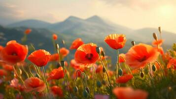 champ de épanouissement coquelicot fleurs dans le montagnes. ai généré image. photo