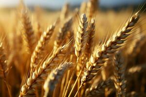 détaillé concentrer sur blé oreilles contre le toile de fond de une blé champ ai généré photo