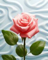 Rose fleur doux blanc Contexte photo