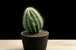 cactus dans minimaliste pot. Contexte. ai génératif pro photo